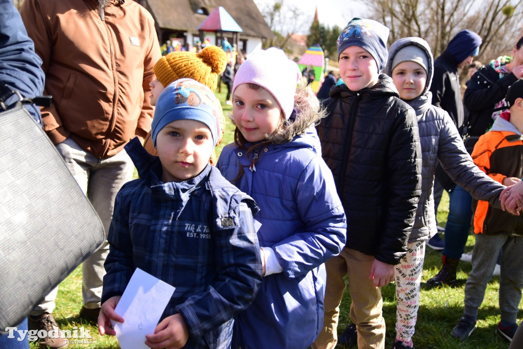 Spotkanie z zającem w Cekcynie