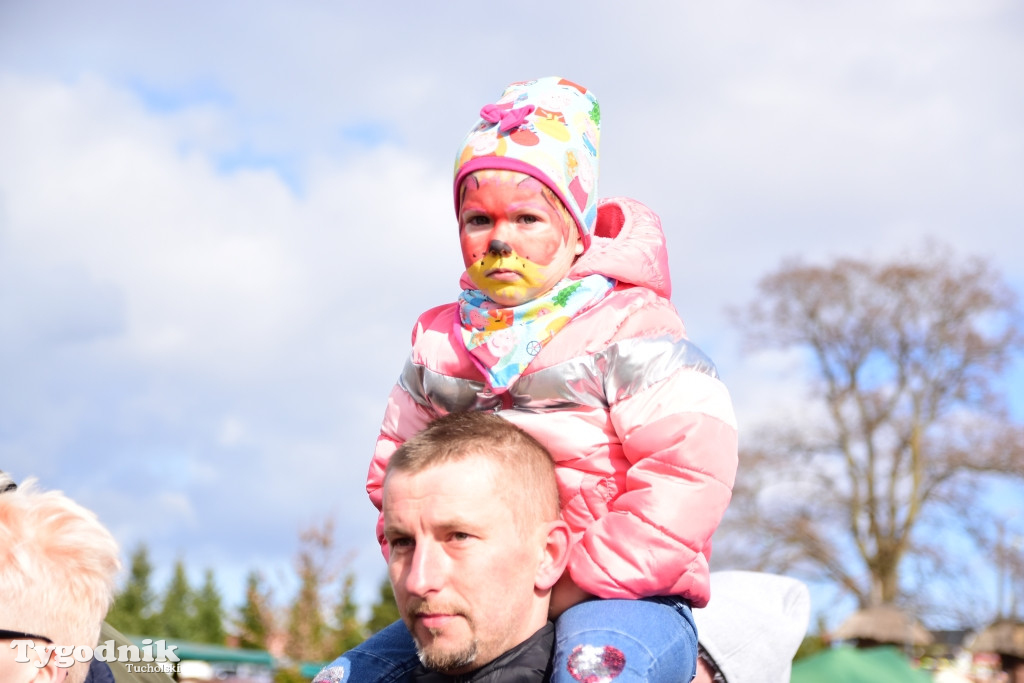 Spotkanie z zającem w Cekcynie