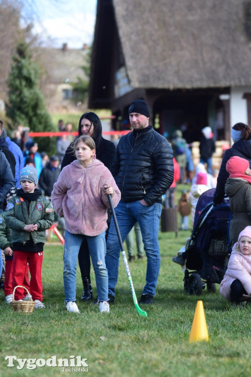 Spotkanie z zającem w Cekcynie