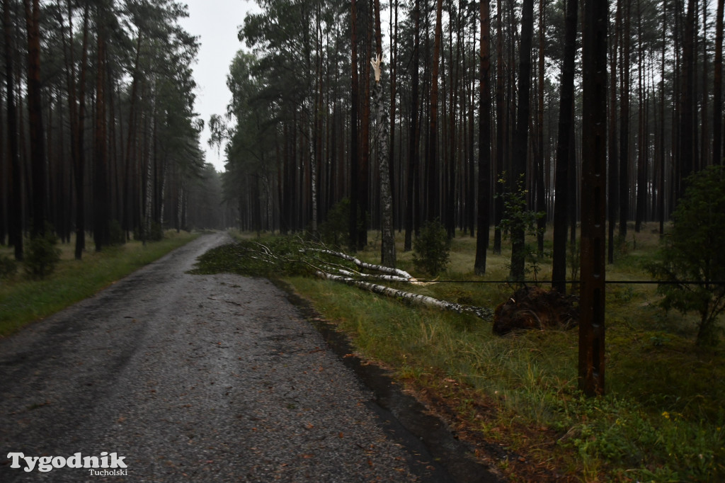 Efekty wichury w pow. tucholskim 01.07.2022