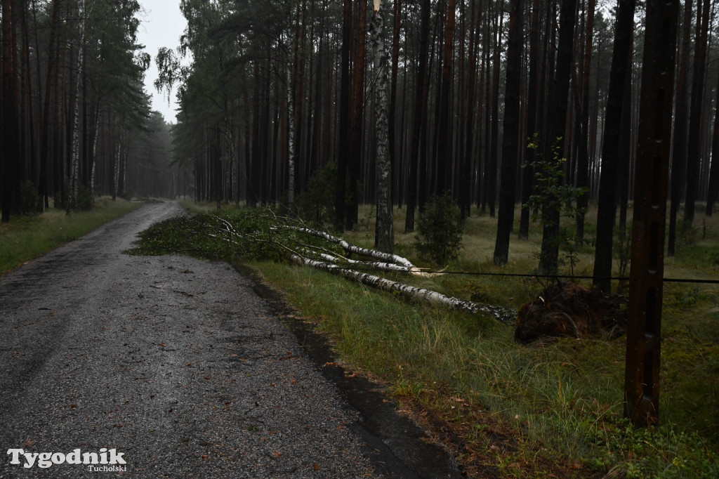 Efekty wichury w pow. tucholskim 01.07.2022