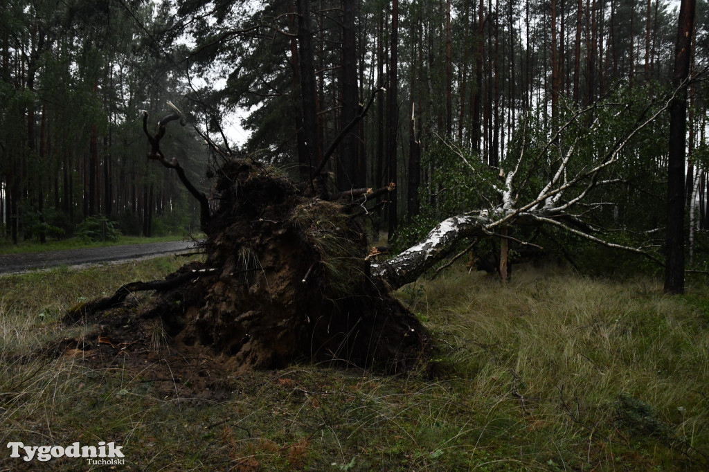 Efekty wichury w pow. tucholskim 01.07.2022