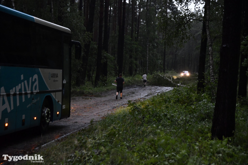 Efekty wichury w pow. tucholskim 01.07.2022