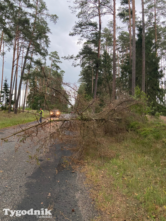 Efekty wichury w pow. tucholskim 01.07.2022