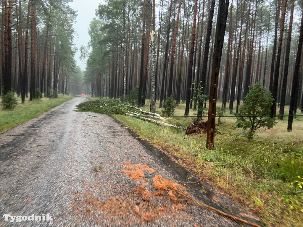 Efekty wichury w pow. tucholskim 01.07.2022