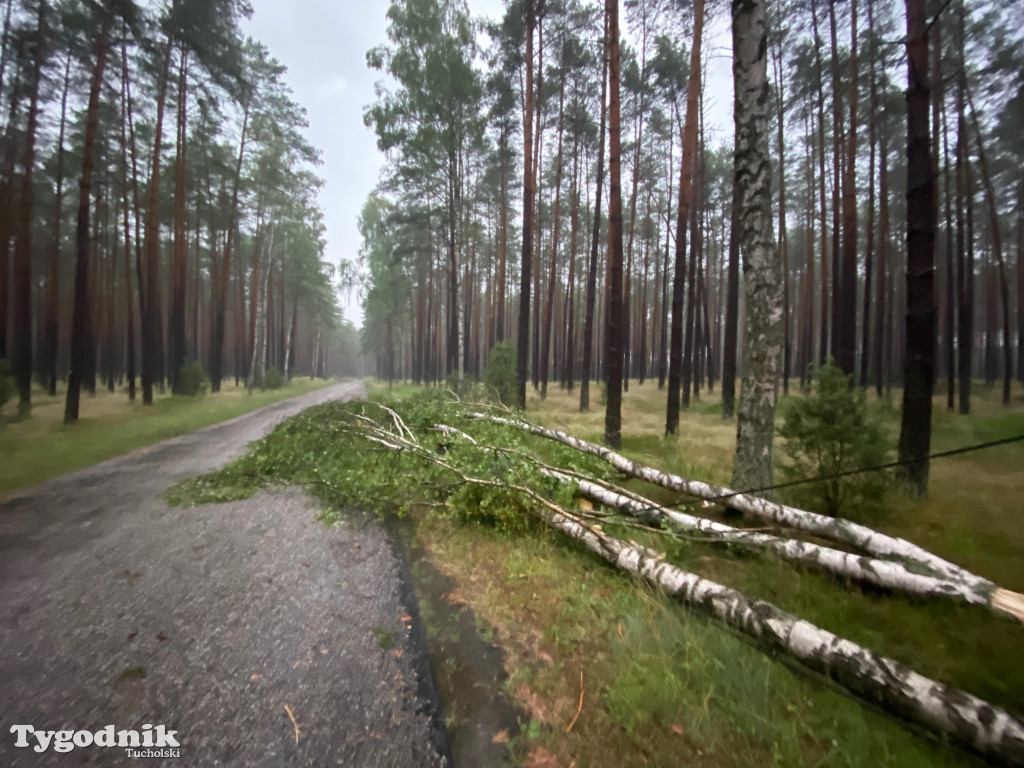 Efekty wichury w pow. tucholskim 01.07.2022