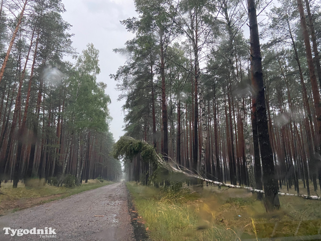 Efekty wichury w pow. tucholskim 01.07.2022