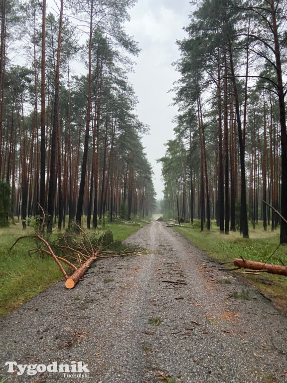 Efekty wichury w pow. tucholskim 01.07.2022