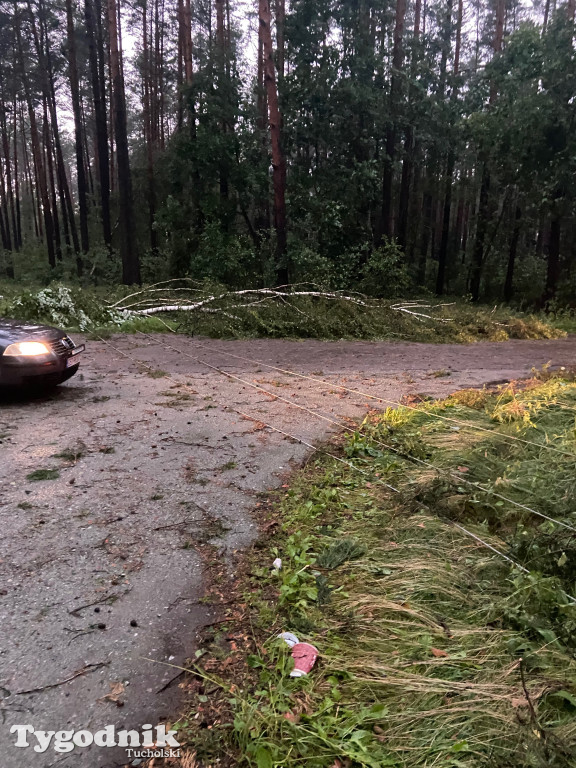 Efekty wichury w pow. tucholskim 01.07.2022