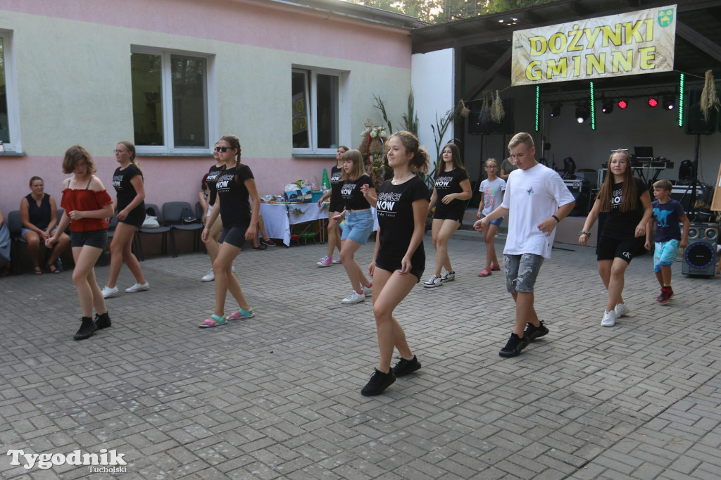 Dożynki gminne w Zielonce (gm. Cekcyn)