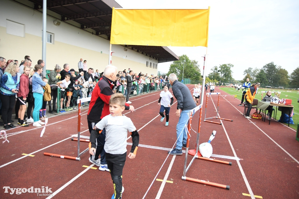 Bieg Borowiaka w Tucholi 2022