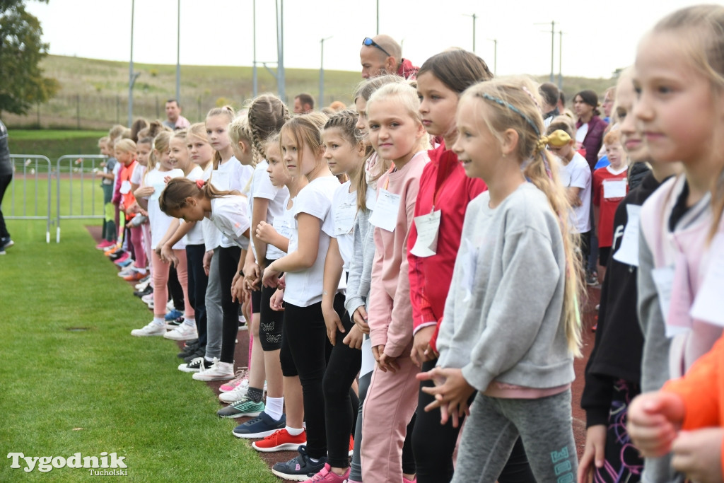 Bieg Borowiaka w Tucholi 2022