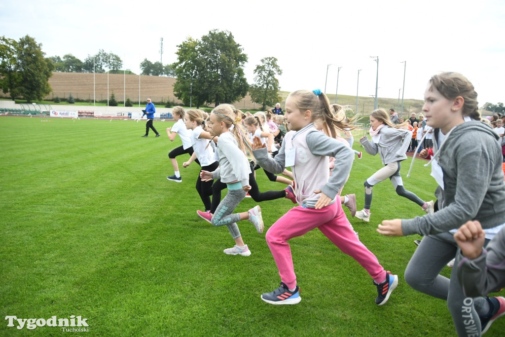 Bieg Borowiaka w Tucholi 2022