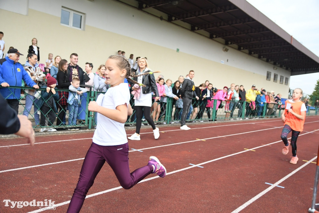 Bieg Borowiaka w Tucholi 2022