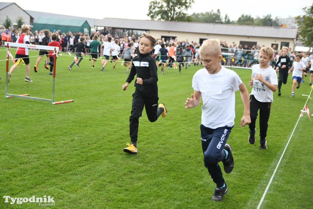 Bieg Borowiaka w Tucholi 2022