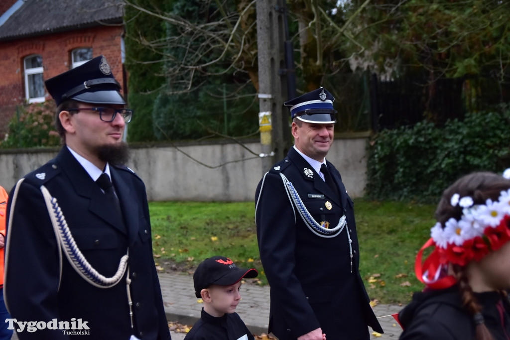 Lubiewo: Pochód, militaria i inne atrakcje w Święto Niepodległości