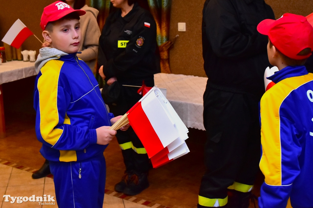 Lubiewo: Pochód, militaria i inne atrakcje w Święto Niepodległości