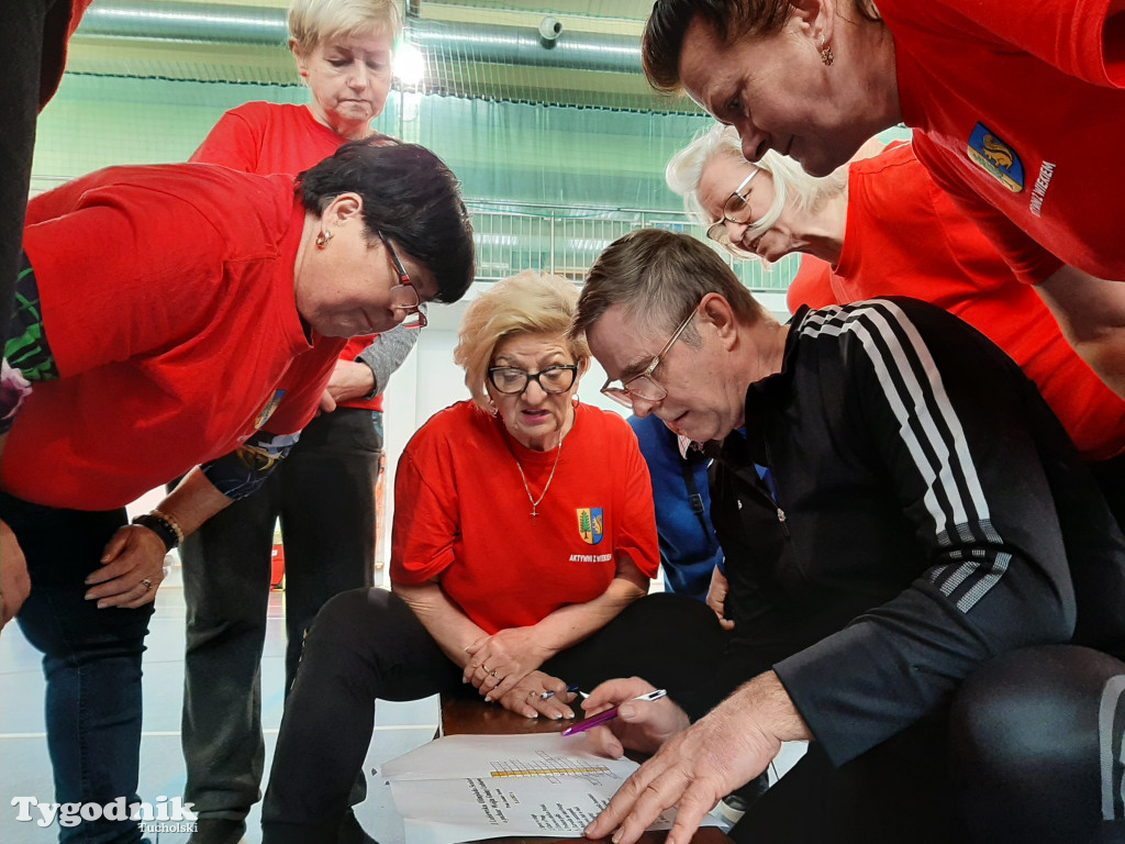 II Lubiewska Olimpiada Seniorów