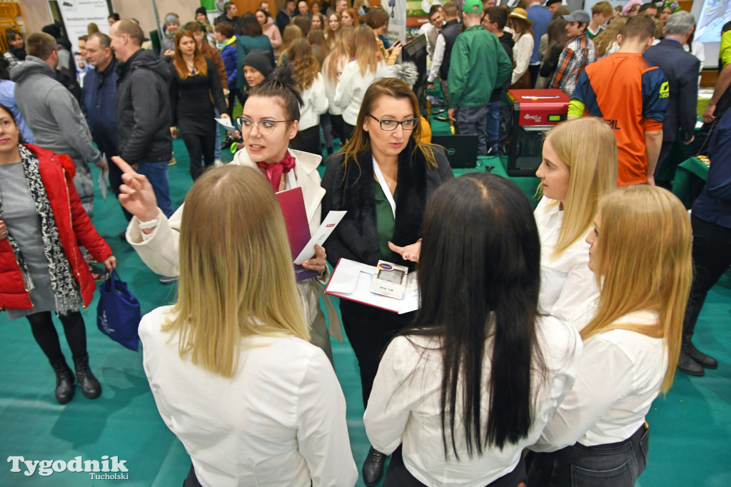 Powiatowe Targi Pracy i Edukacji - Tuchola (10.03.2023)