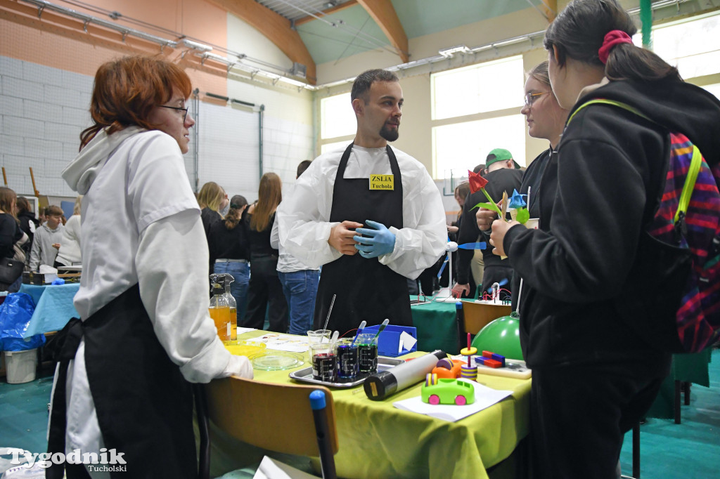 Powiatowe Targi Pracy i Edukacji - Tuchola (10.03.2023)