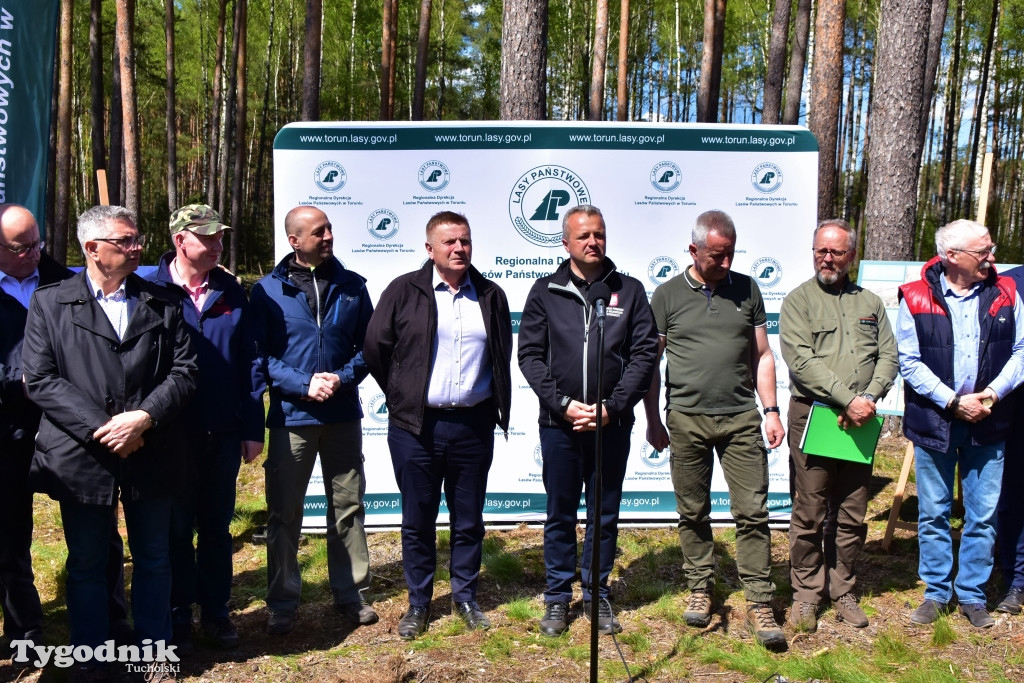 6 lat po nawałnicy: konferencja