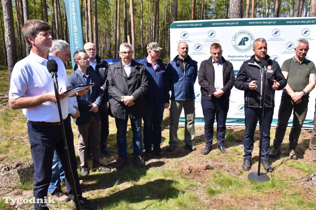 6 lat po nawałnicy: konferencja