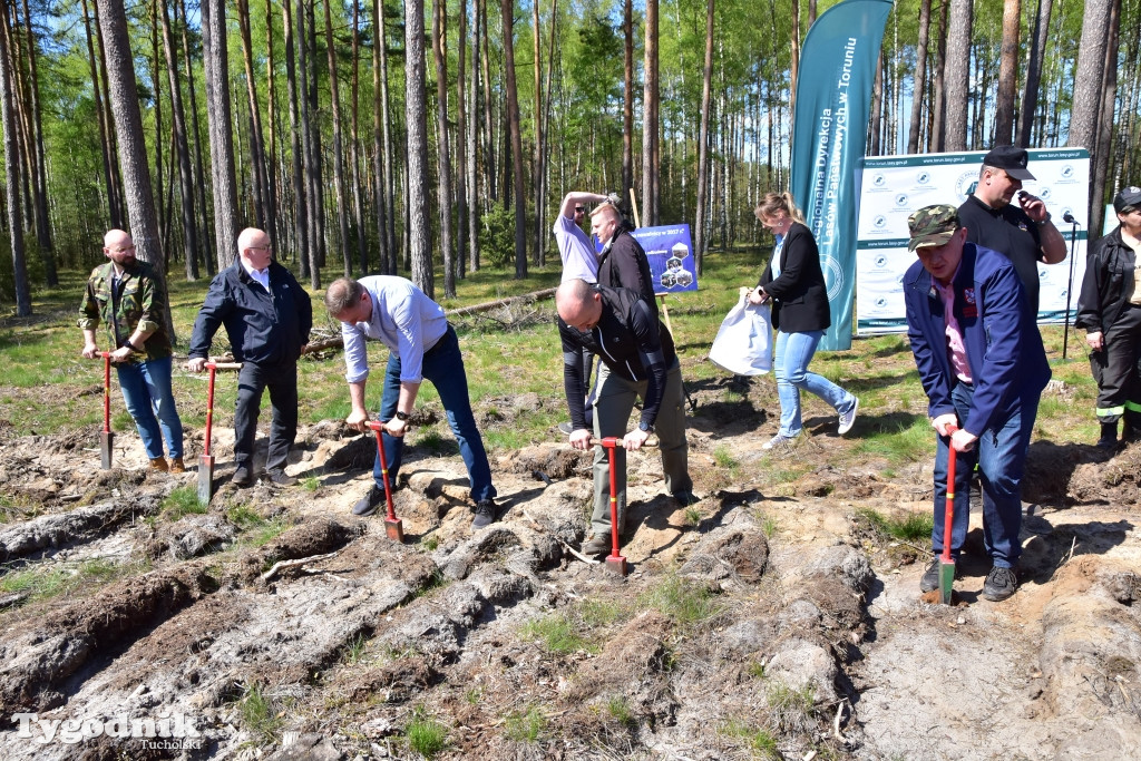 6 lat po nawałnicy: konferencja