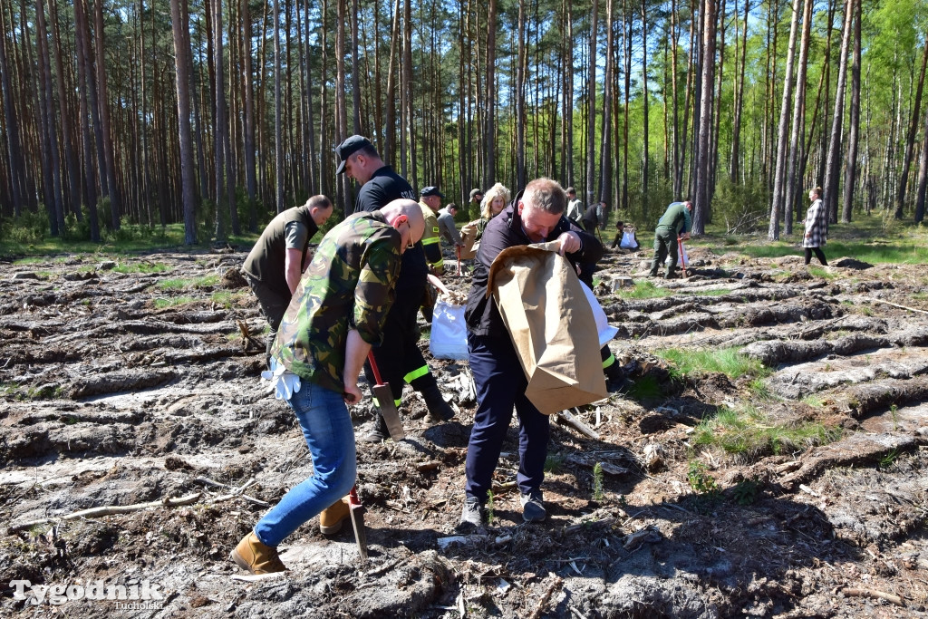 6 lat po nawałnicy: konferencja