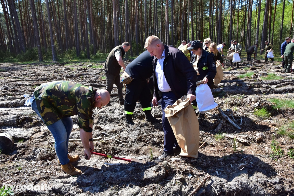 6 lat po nawałnicy: konferencja