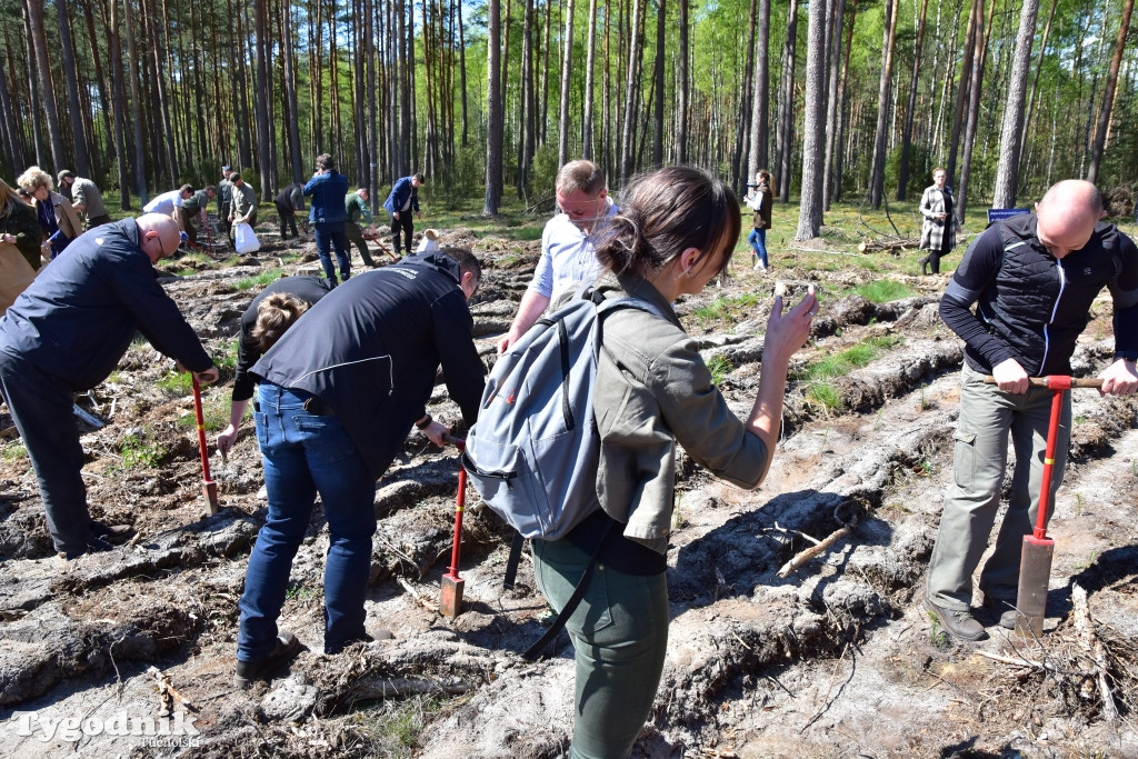 6 lat po nawałnicy: konferencja