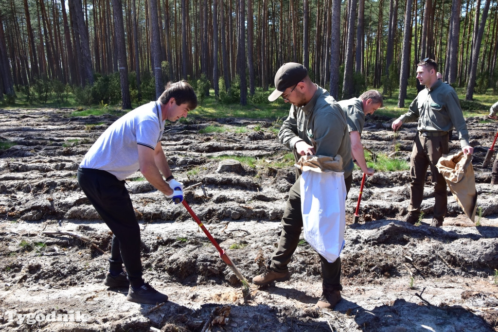 6 lat po nawałnicy: konferencja