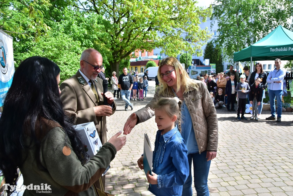 Tuchola: Dzień pszczoły i niezapominajki