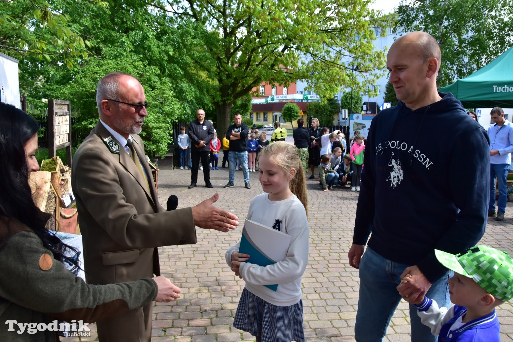 Tuchola: Dzień pszczoły i niezapominajki