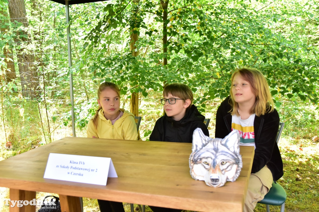Konkurs pod hasłem 