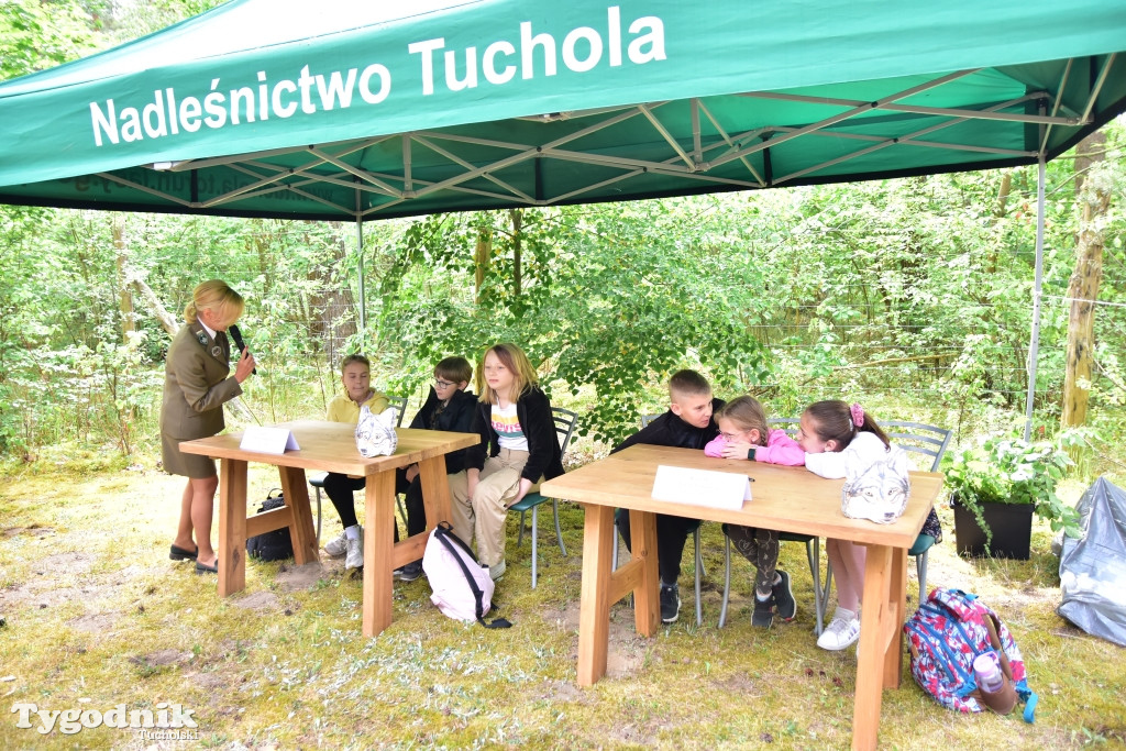 Konkurs pod hasłem 