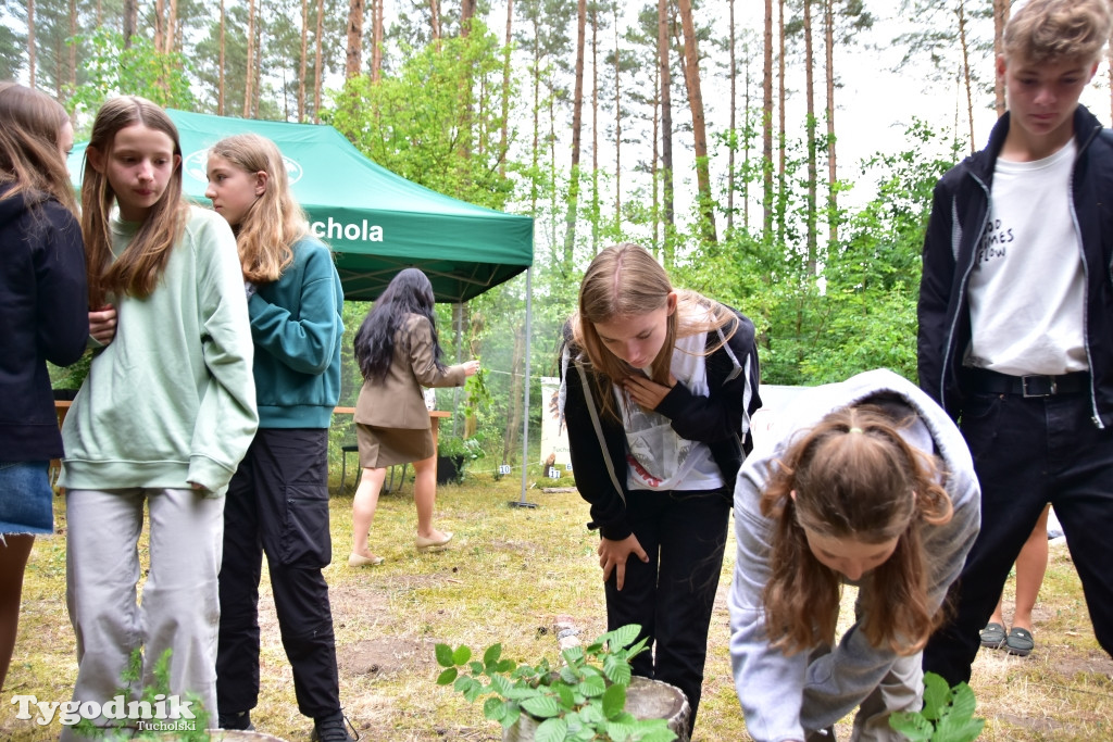 Konkurs pod hasłem 