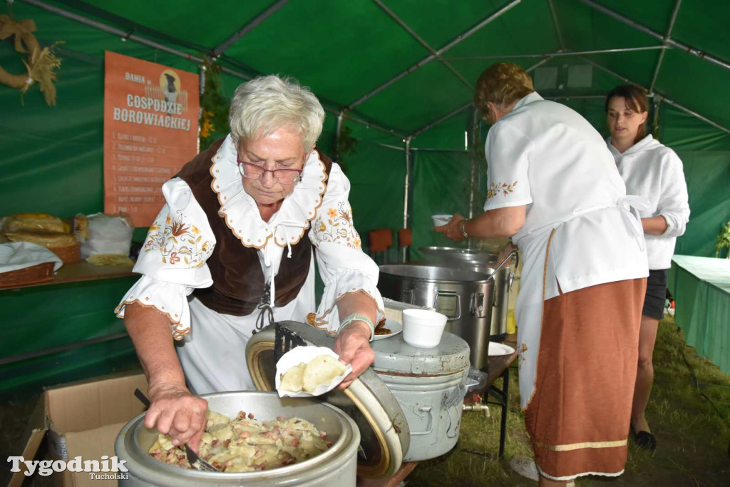 Dzień Folkloru Borowiackiego