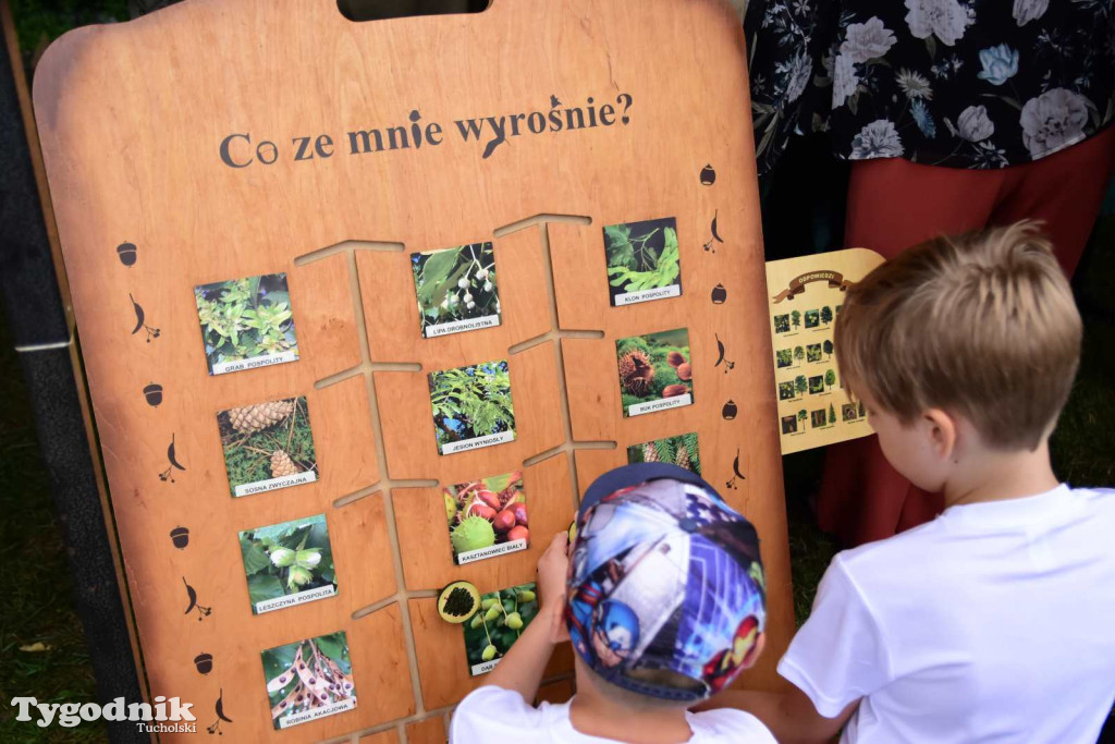 Śliwicka dyszka - galeria część 2