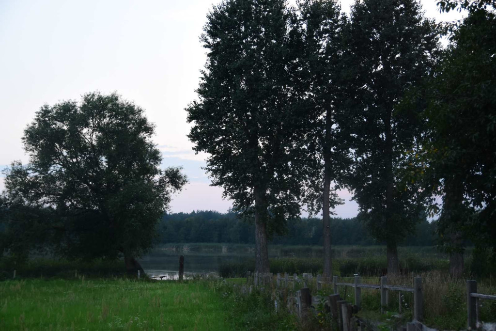 Dożynki gminne w Lińsku