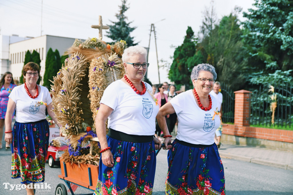 Dożynki gminne w Kęsowie (26.08.23)