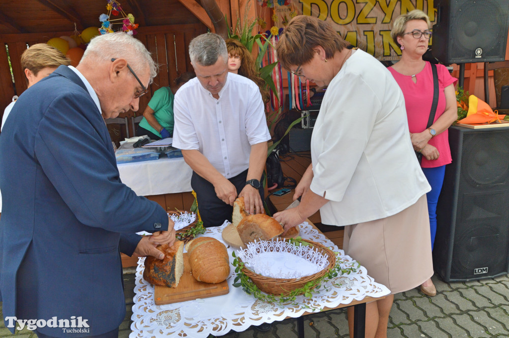 Gmina Cekcyn: dożynki gminne w Iwcu (26.08.2023)