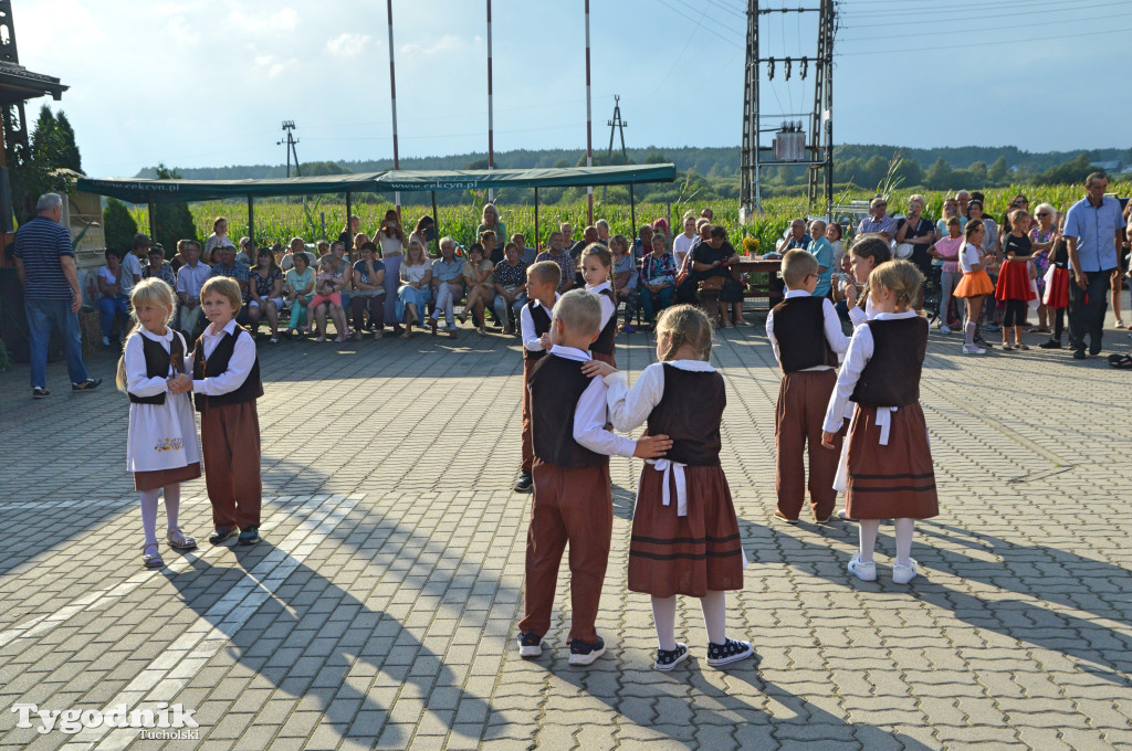 Gmina Cekcyn: dożynki gminne w Iwcu (26.08.2023)