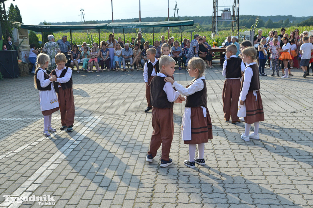 Gmina Cekcyn: dożynki gminne w Iwcu (26.08.2023)