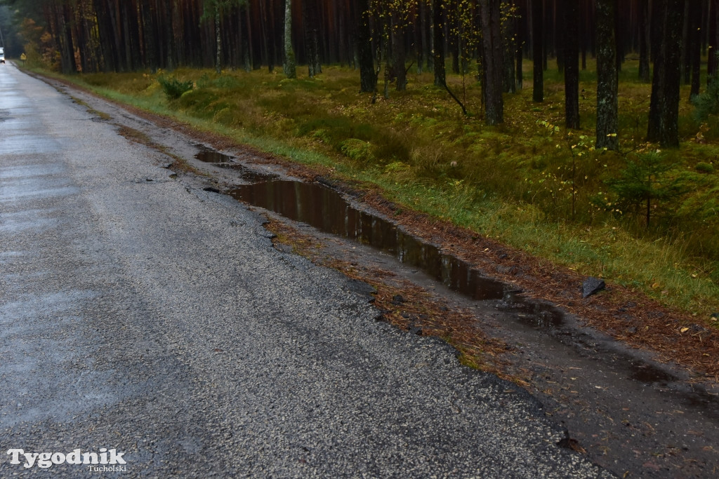 Tak wygląda fatalna droga w stronę Brzeźna