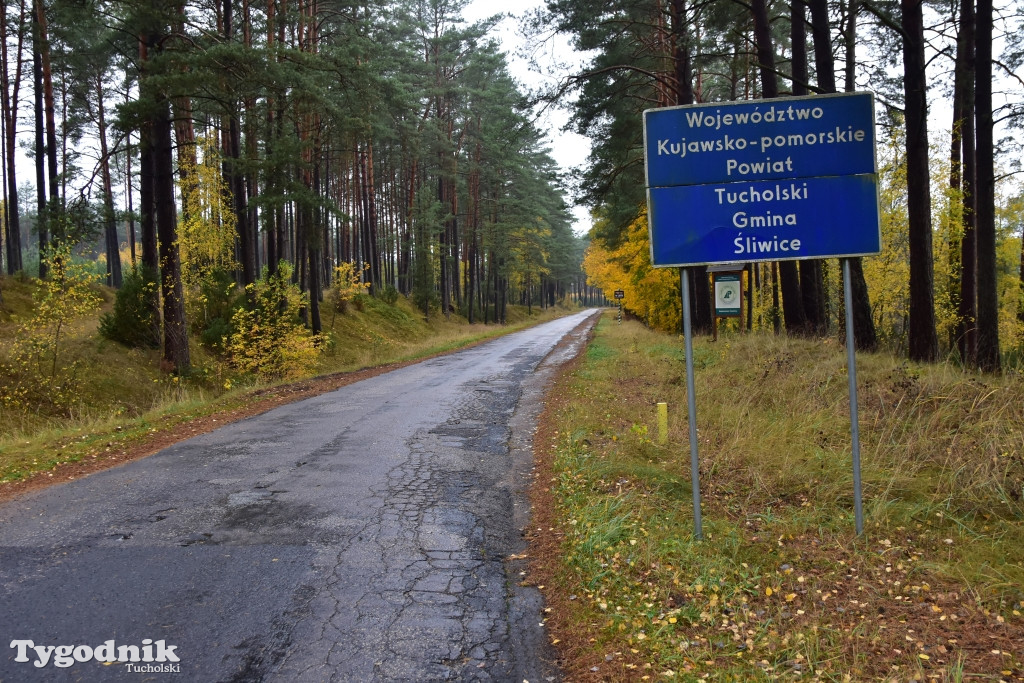 Tak wygląda fatalna droga w stronę Brzeźna