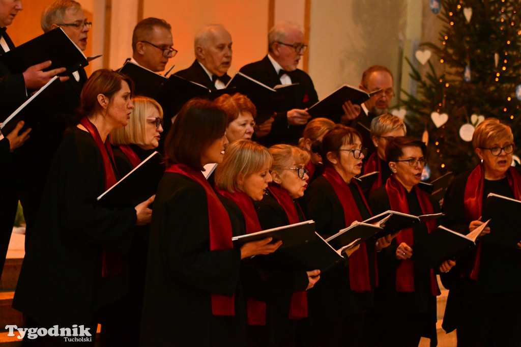 Chór Camerata. Koncert 07.01.2024
