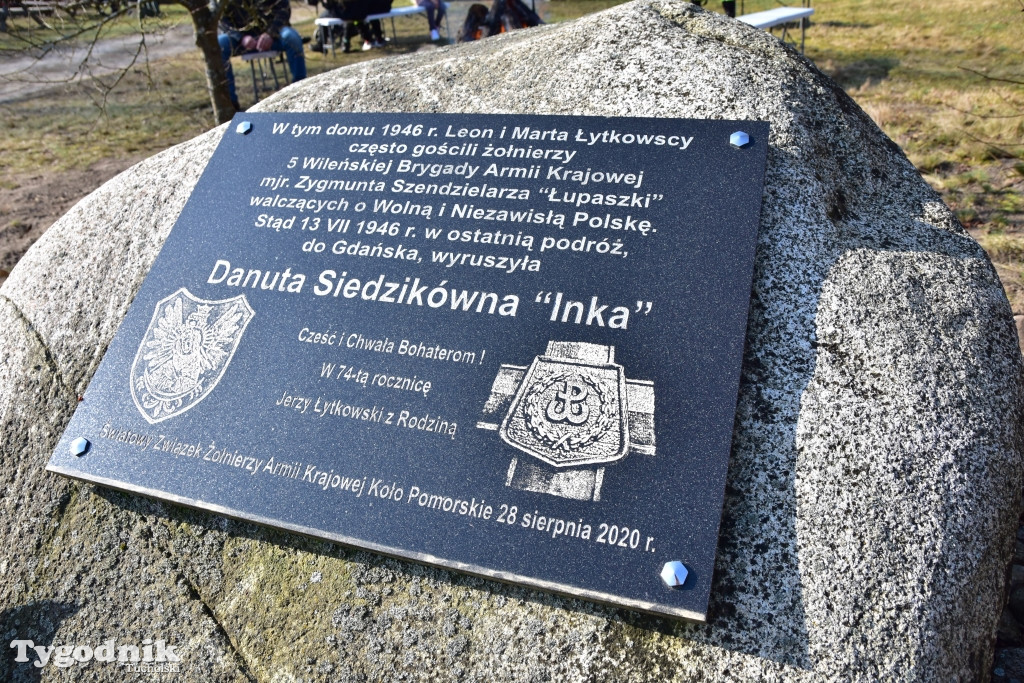 Gmina Śliwice: Piknik rodzinny 