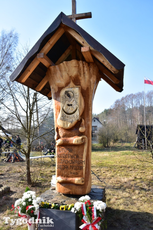 Gmina Śliwice: Piknik rodzinny 