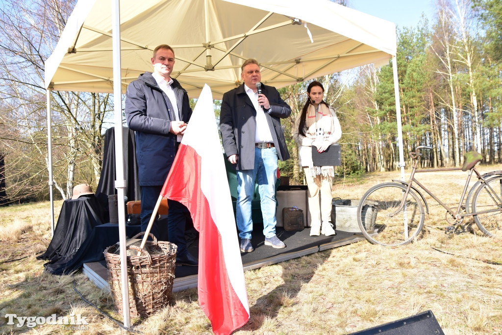 Gmina Śliwice: Piknik rodzinny 