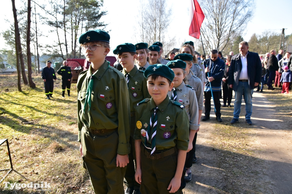 Gmina Śliwice: Piknik rodzinny 